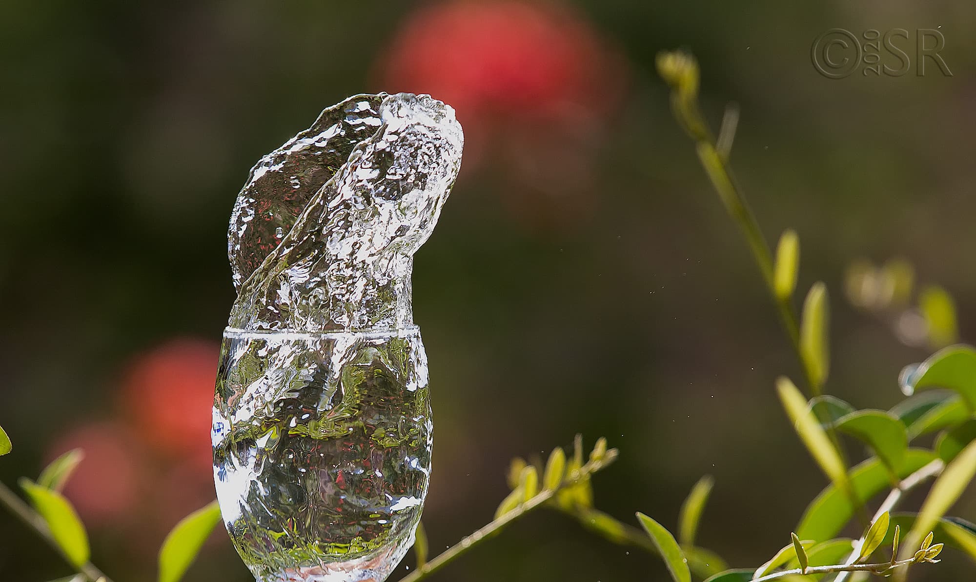 _J2A6609-splash