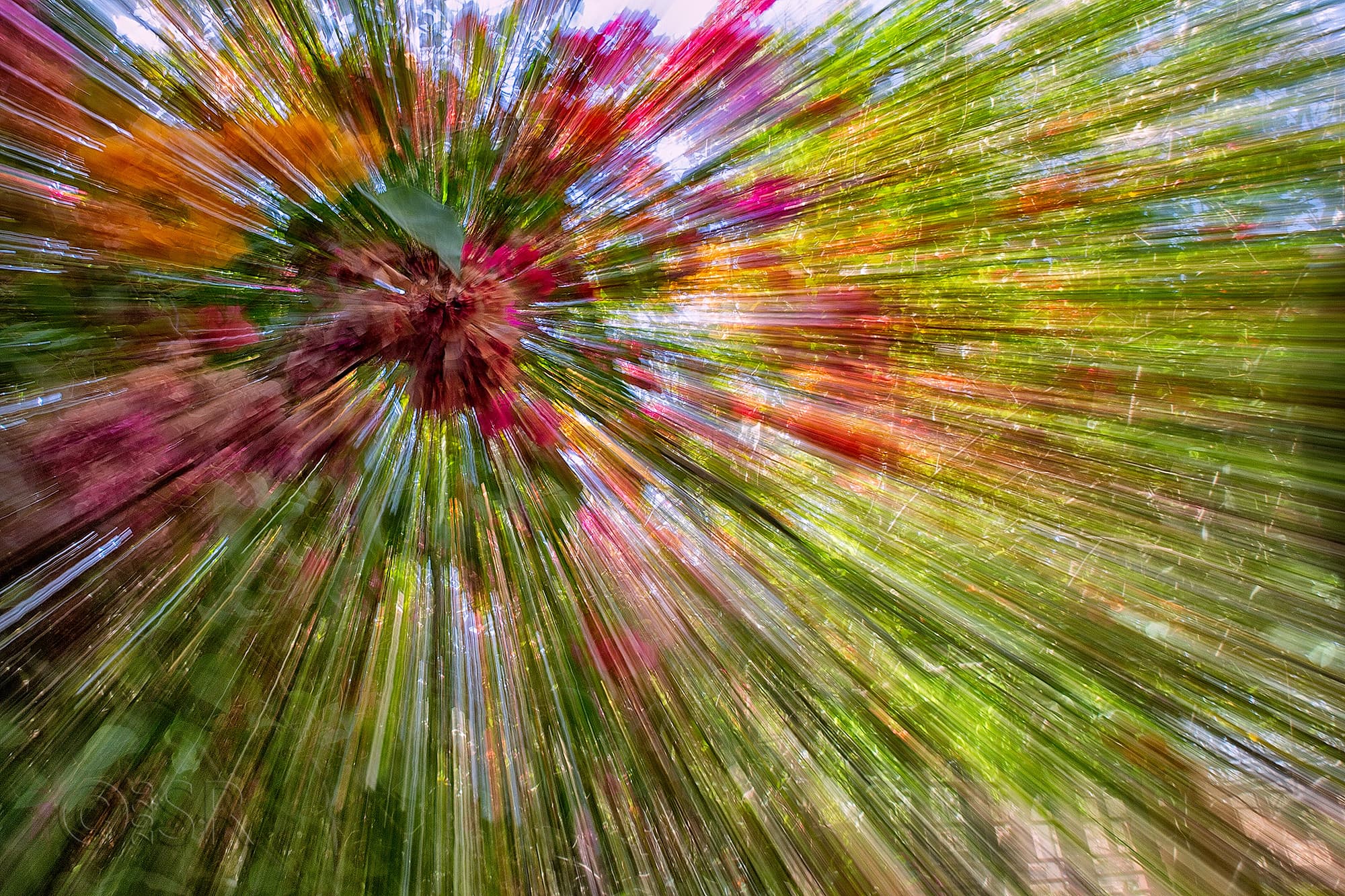 _J2A6866-zoom-web