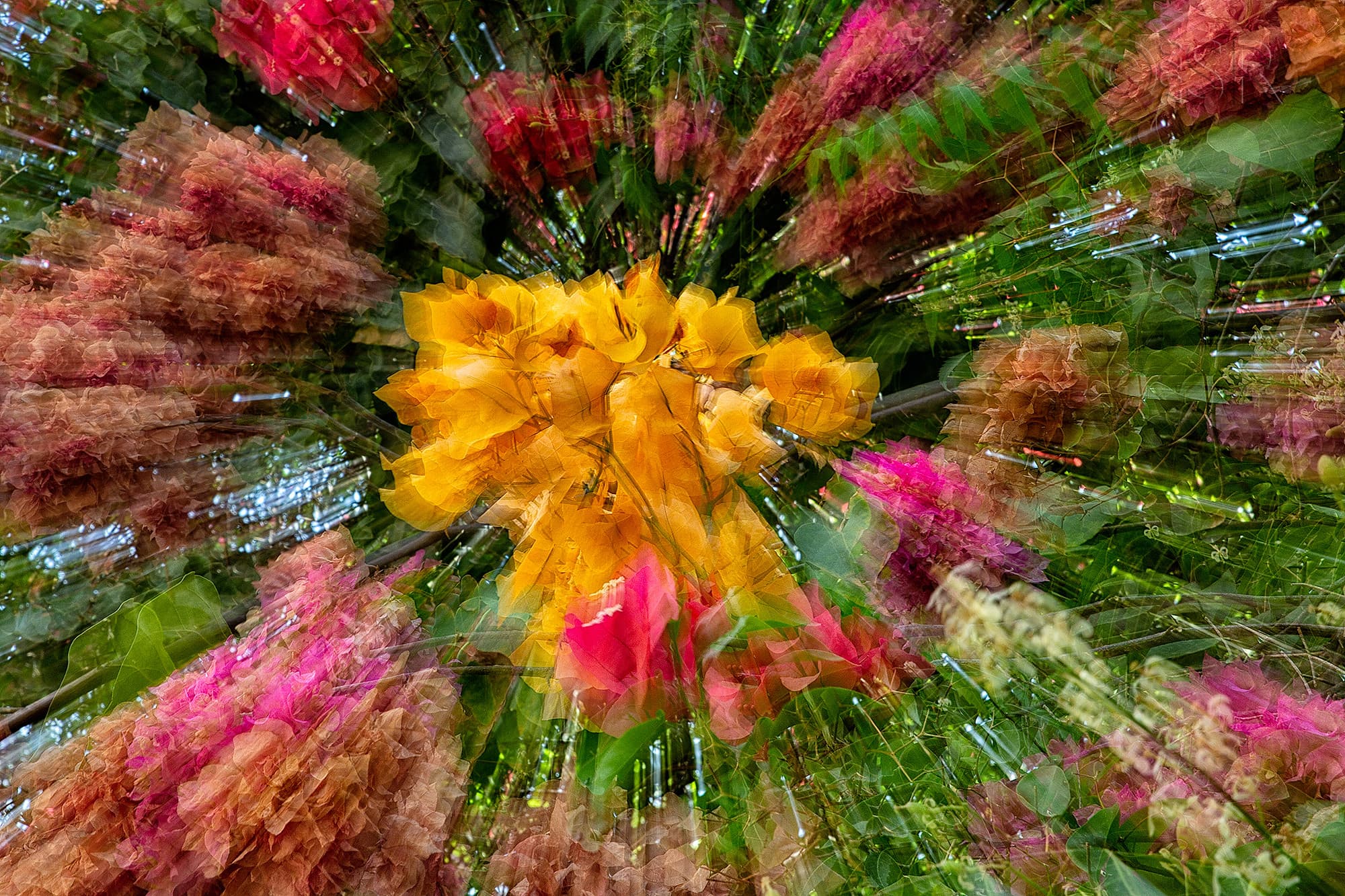 _J2A6871-zoom-web
