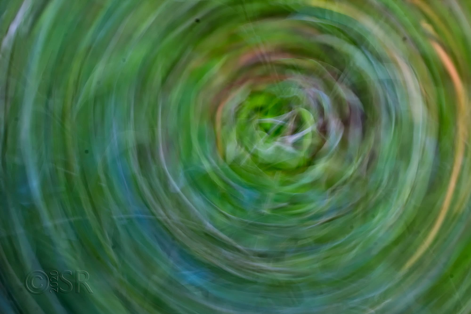 _MG_1445-swirl-green-crop-1-web