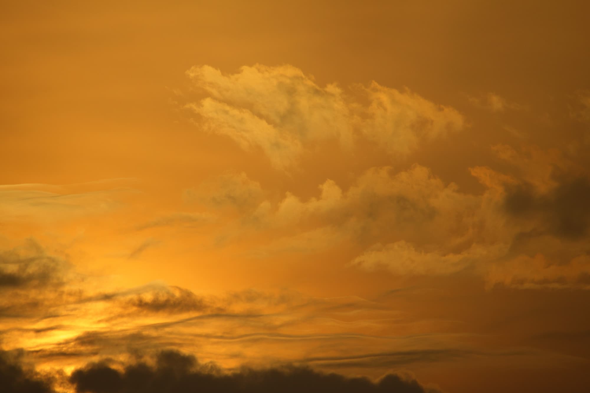_MG_2533-sunrise
