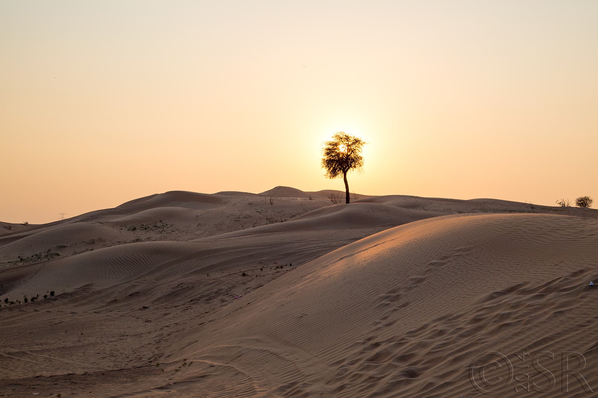 TJ2A1699-sunset-desert