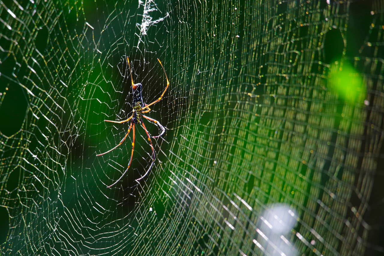 TJ2A3374-web