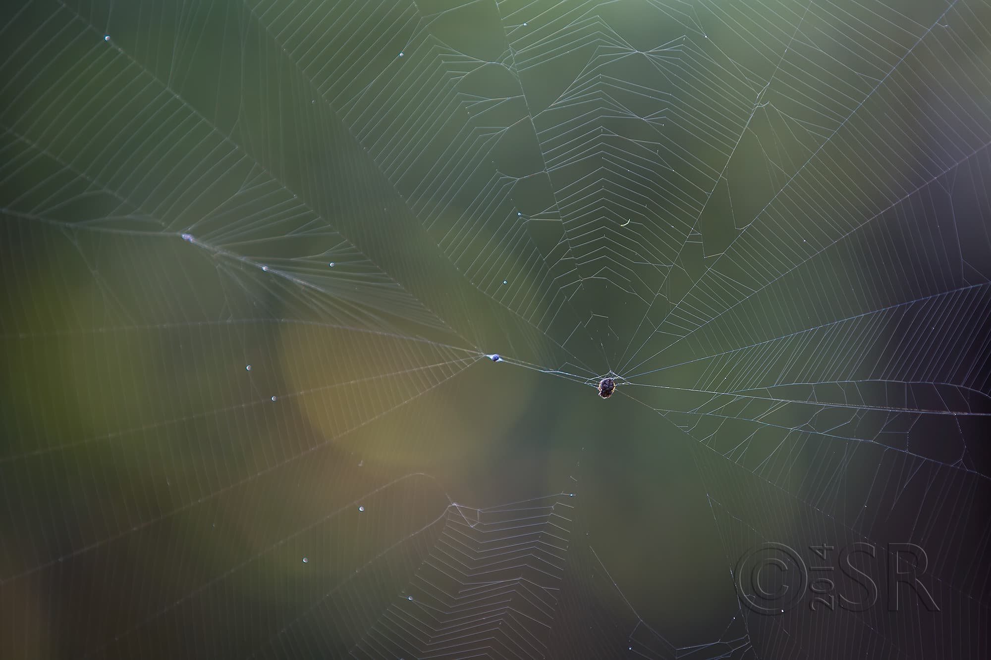 TJ2A5456-web