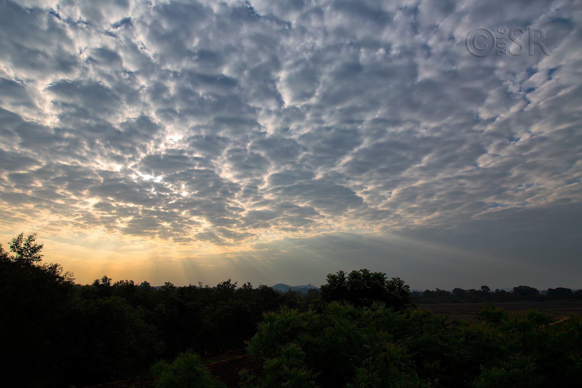 TJ2A9811-sunrise