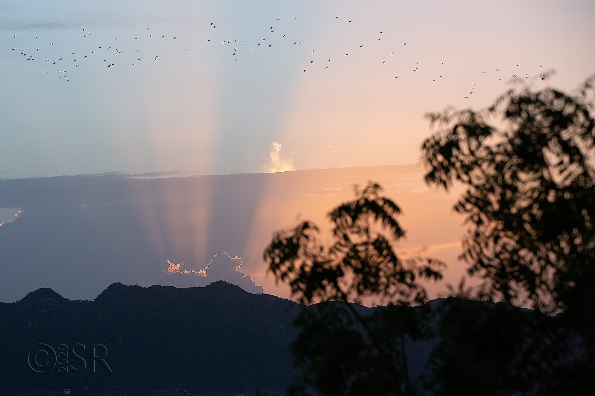 _J2A7178-sunset-web