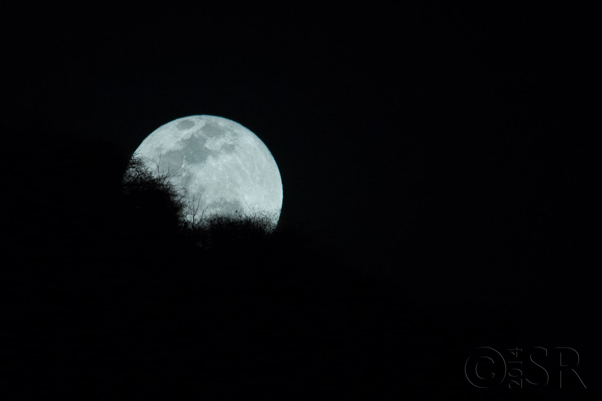 TJ2A4520-moonrise